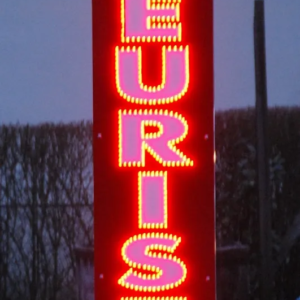 Enseigne lumineuse LED extérieure “Fleuriste” une face, préconfigurée pour installation rapide 200x50 cm