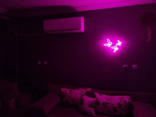 ENSEIGNE LUMINEUSE "PAPILLON" NÉON FLEX PERSONNALISÉE, CHOIX DE TAILLE ET COULEUR, de 56 à 107 cm – Image 2