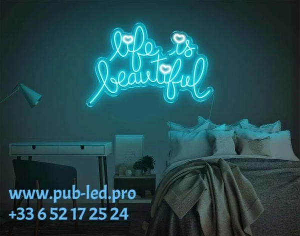 ENSEIGNE LUMINEUSE NÉON FLEX PERSONNALISÉE, TAILLE ET DESIGN PERSONNALISÉS 55 ET 80 CM