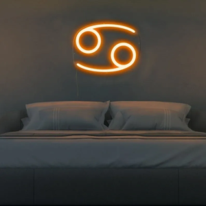 ENSEIGNE LUMINEUSE "SIGNE DE ZODIAQUE POISSON" NÉON FLEX PERSONNALISÉE, CHOIX DE TAILLE ET COULEUR, de 50 à 225 cm